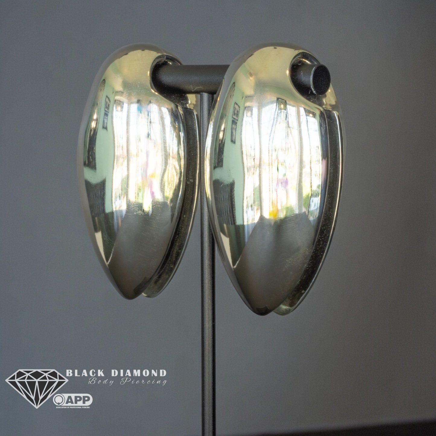 Spade Ear Weights