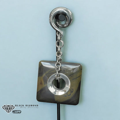 Dangle Ear Weights-Tiger Iron