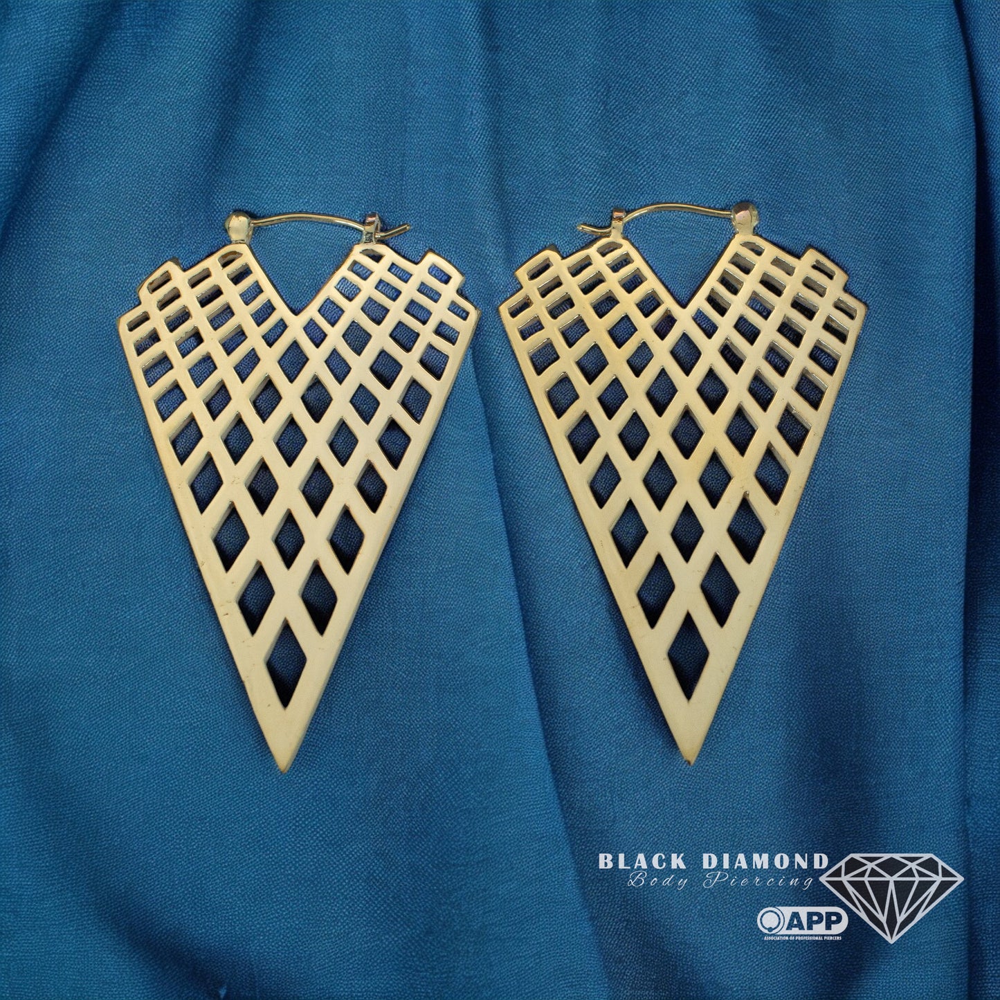 Light Speed Earrings