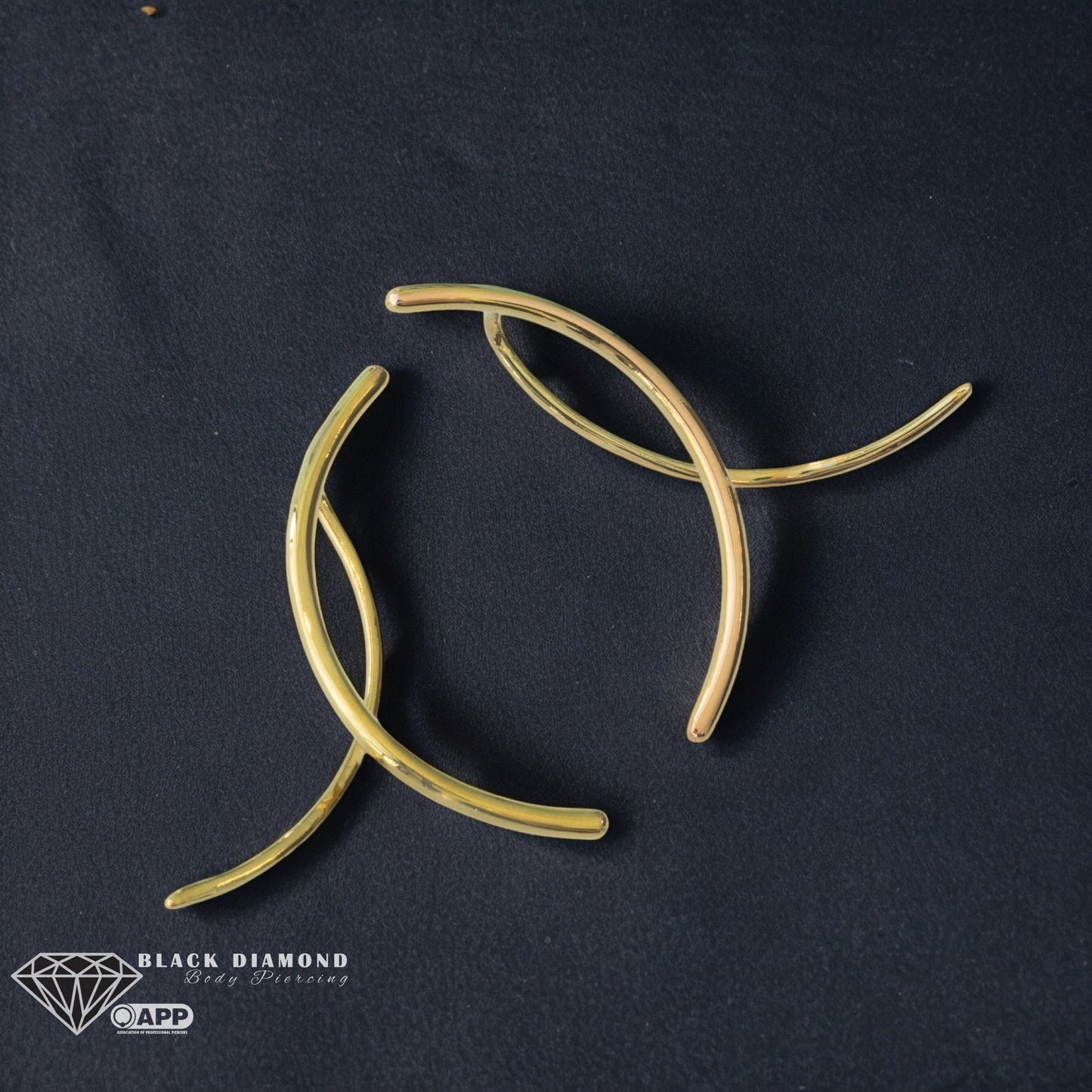 Nexus Earrings
