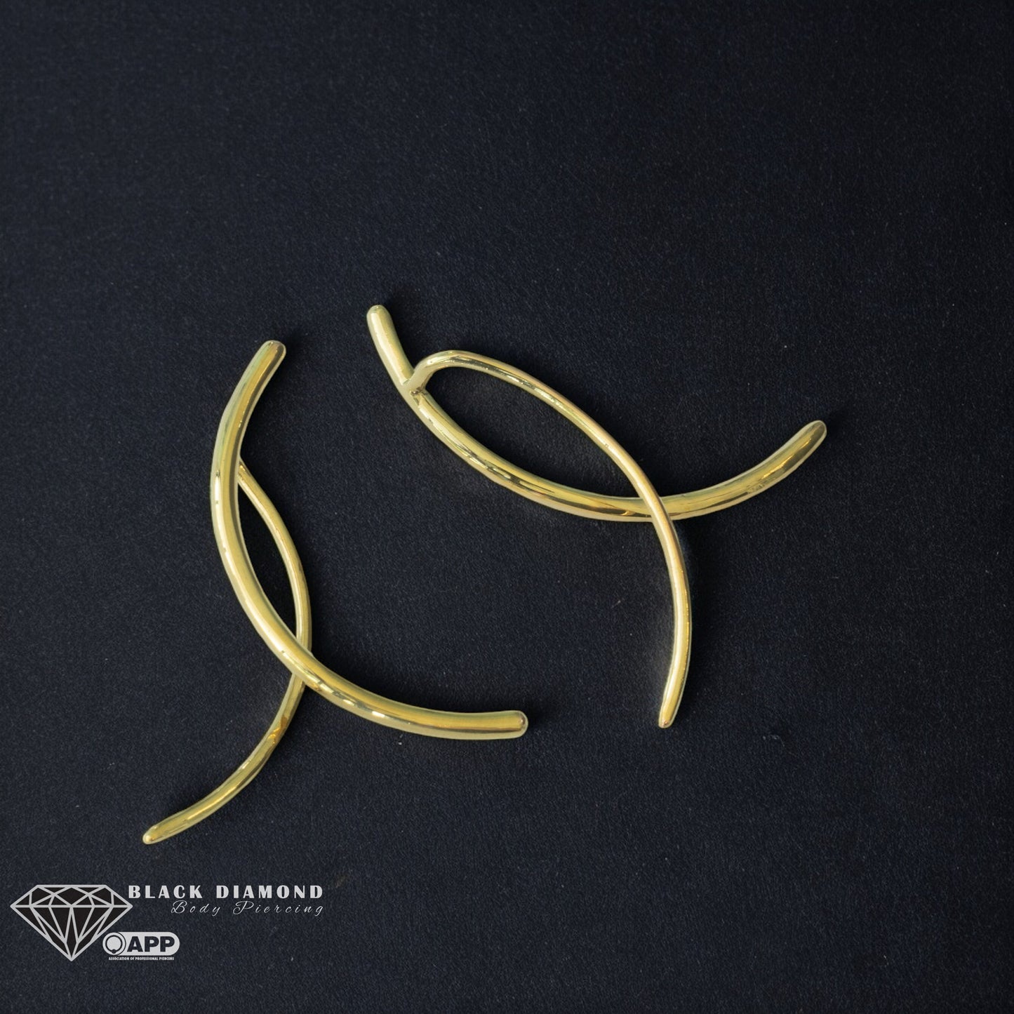 Nexus Earrings