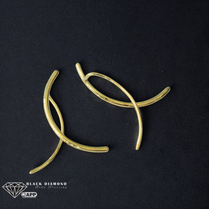Nexus Earrings