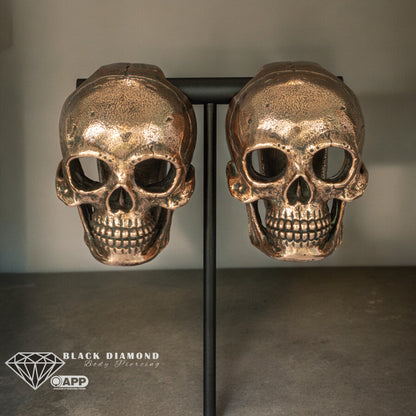 Master of the Universe Ear Weights