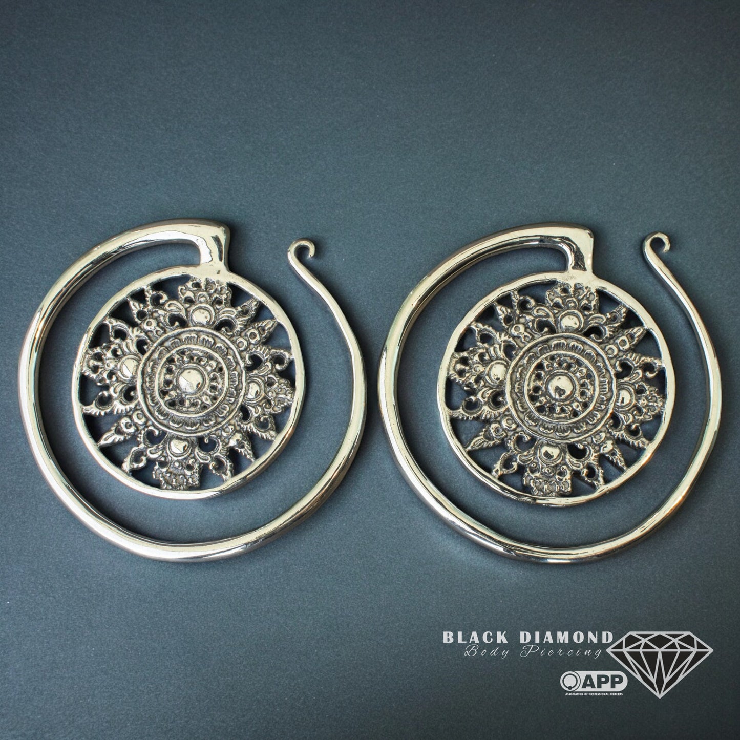 Puju Circle Ear Weights