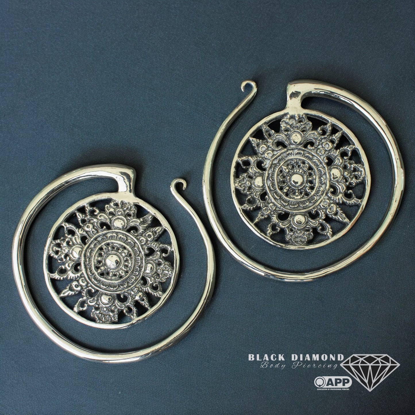 Puju Circle Ear Weights